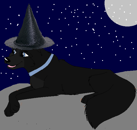 kate as a dog witch