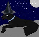 kate as a dog witch