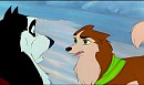 Brownie and steele fighting