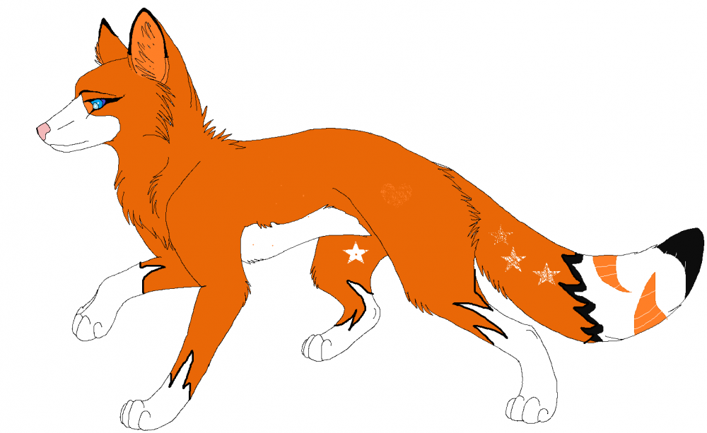 Kamila the Fox