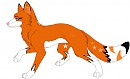 Kamila the Fox