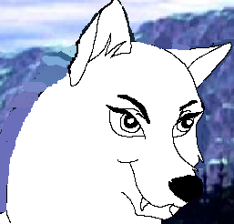 request from haley wolf