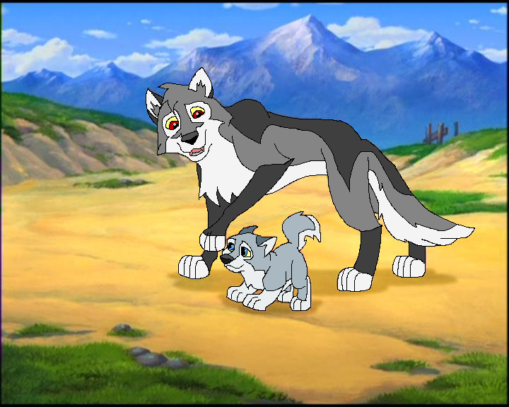 Swit-star and Rom 