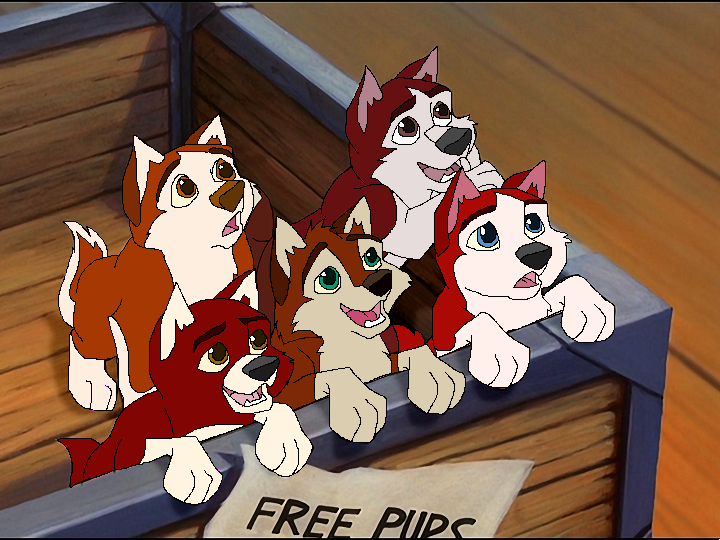 Balto's First Litter