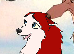 Saba Face