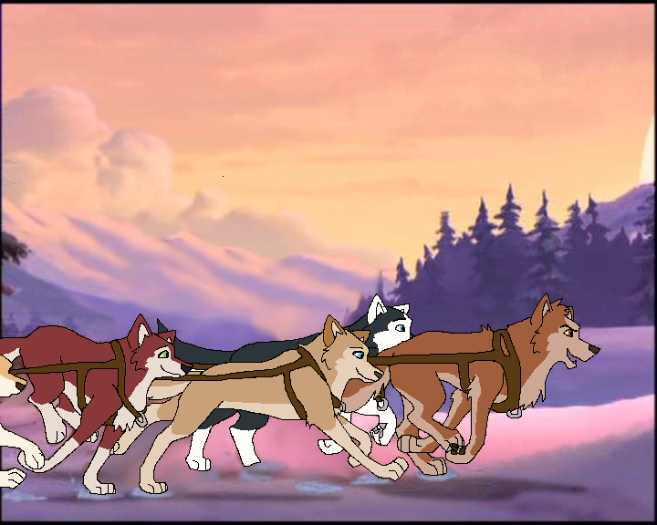 Dingo's Team