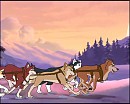 Dingo's Team