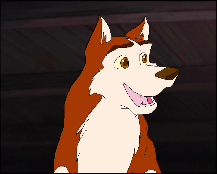 Dingo