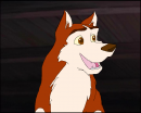 Dingo