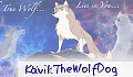 KävikTheWolfDog
