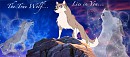 The True Wolf Lies In You
