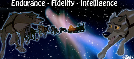 Endurance - Fidelity - Intelligence