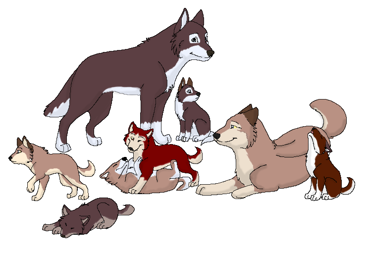 Aleu and Taku's pups