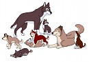 Aleu and Taku's pups