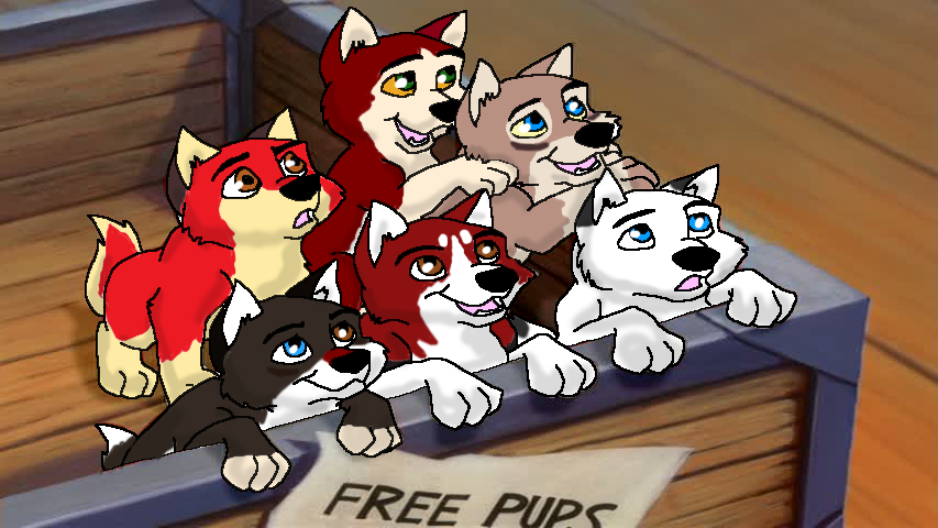 Adoptables