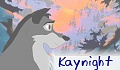 kaynight