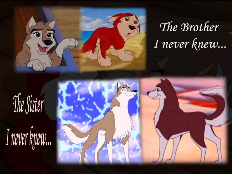 Never Knew