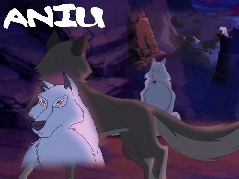 Aniu