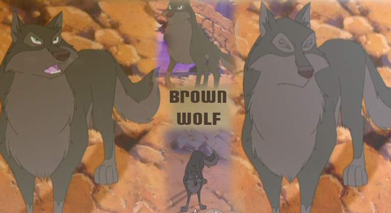Brown Wolf Collage