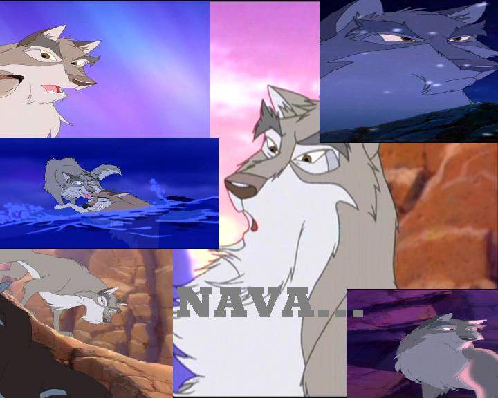 Nava poster
