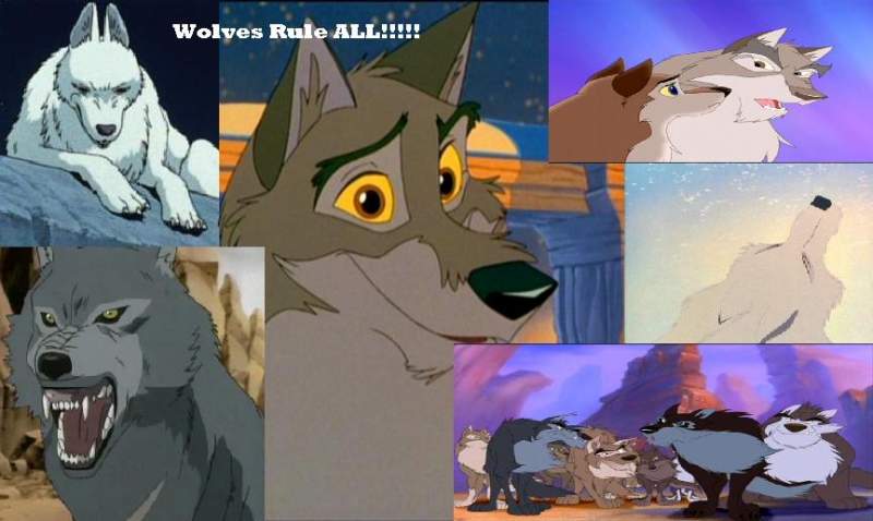 Wolves rule