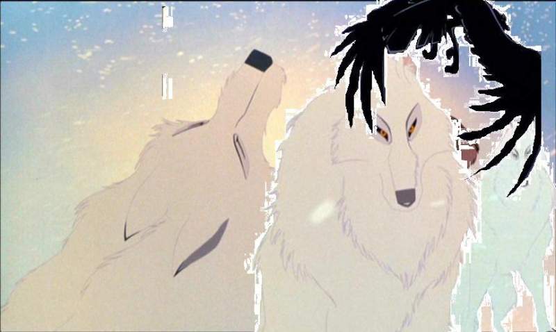 Aniu