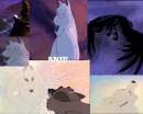 Aniu poster