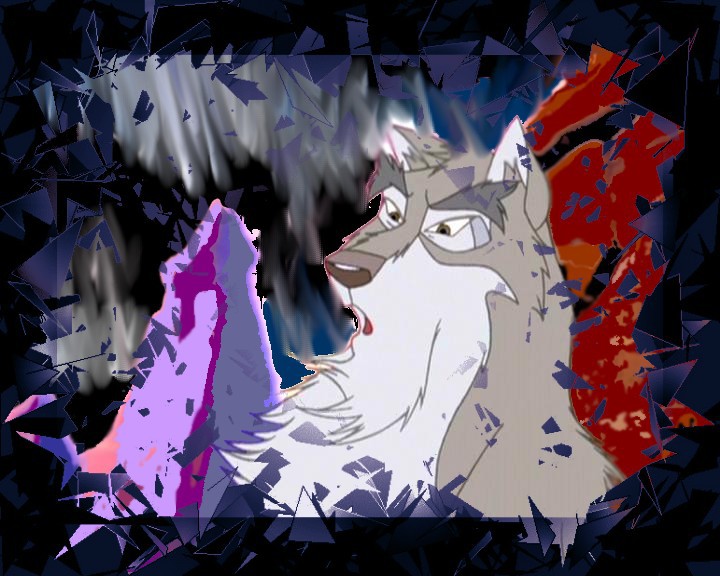 Fox Nava