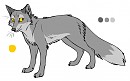 Fox Nava