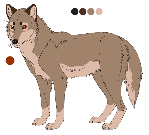Purebred Wolf Balto