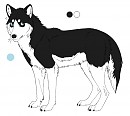 Wolf Steele