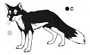 Fox Steele