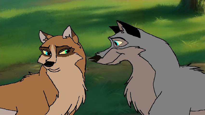 Chinook et Kahok