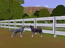 Ralph and Dusty in the Sims pets 3!