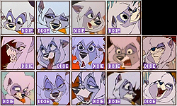 14 Dixie Icons