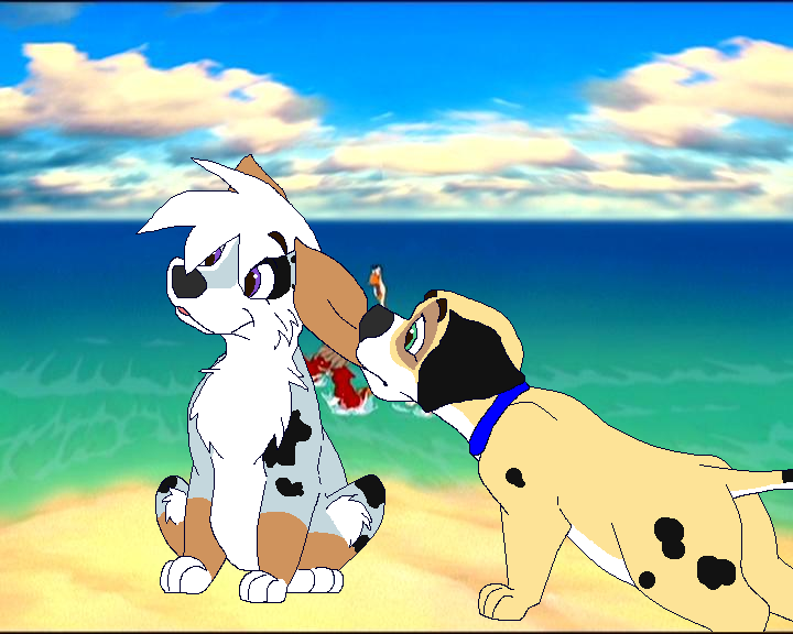 Frock and Riley Playing at the Beach