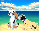 Frock and Riley Playing at the Beach