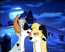 Dawww...
