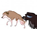  Aleu... 