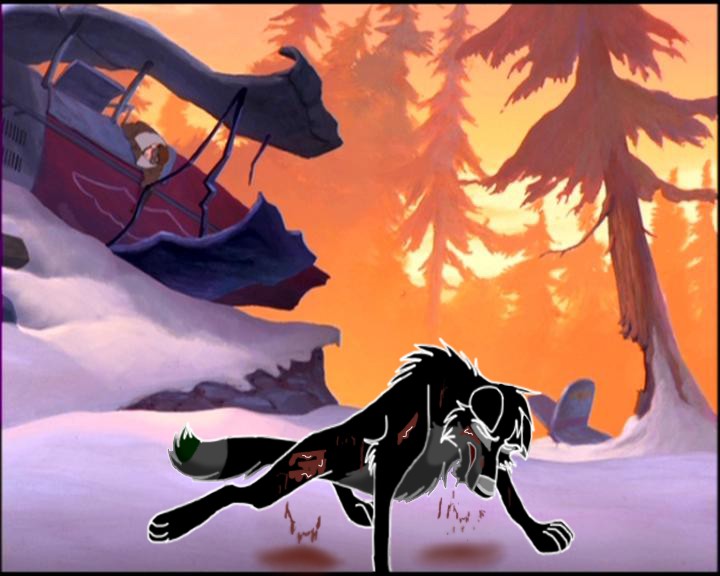 Request - Wolfdog11werewolf