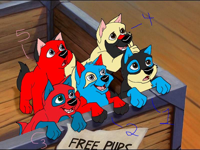 Power & Glory's pups up 4 adoption