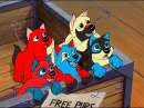 Power & Glory's pups up 4 adoption