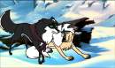 or Ivory & Captain?