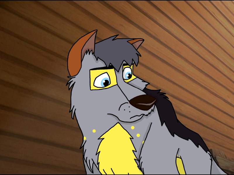 Request - Zorro the coyote