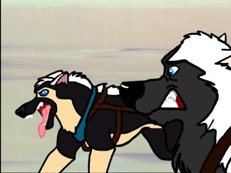 Marshal and Zeek
