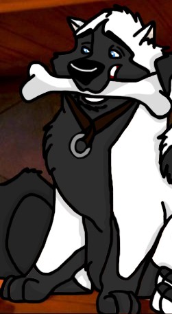 Zeek