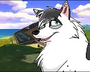 Destiny request for Destiny_Wolf(Laura)