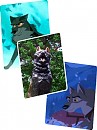 Balto Photos