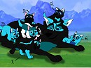 puppies on the way