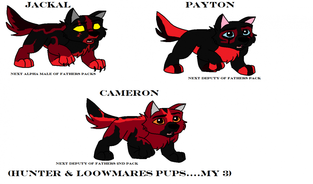 Hunter X Loowmares pups